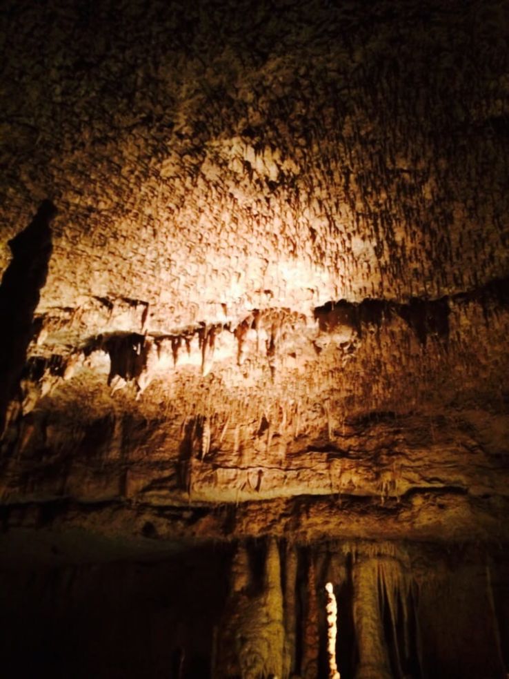 Natural Bridge Caverns 2023, 5 top things to do in texas city, texas, reviews, best time to